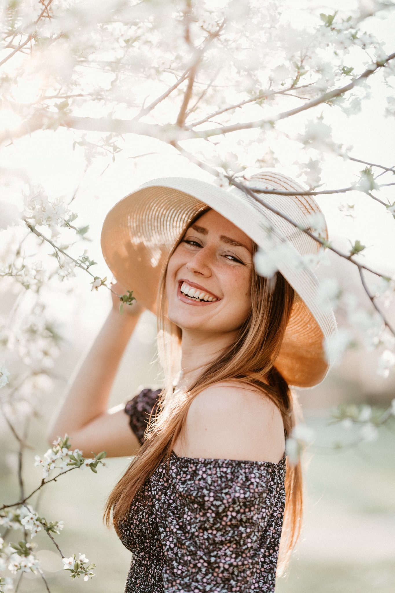 Blütenzauber im März