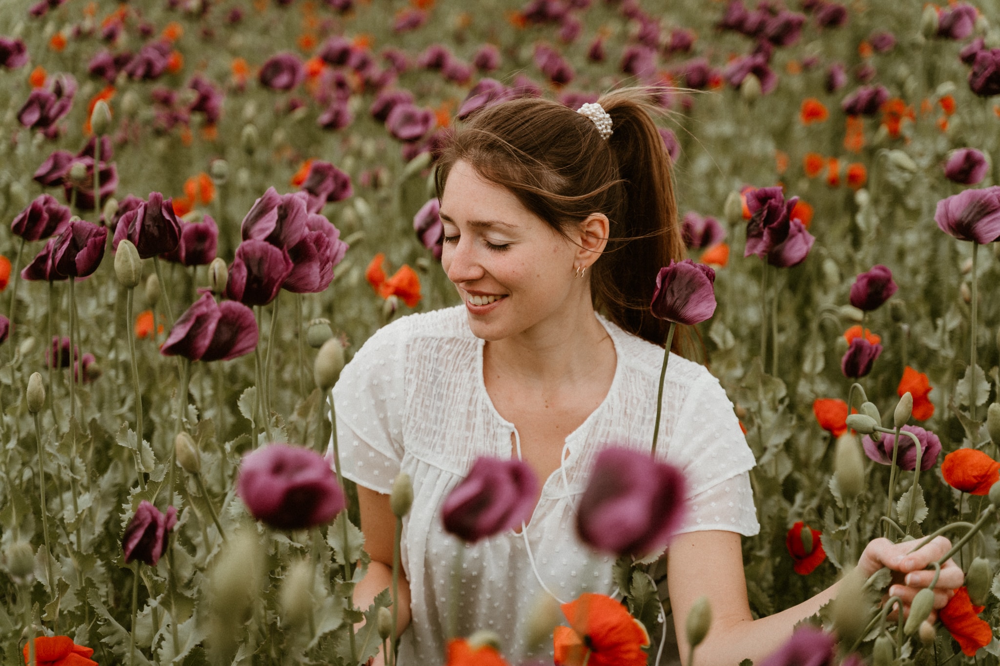 Mohnblumentraum von Mai bis Mitte/Ende Juni